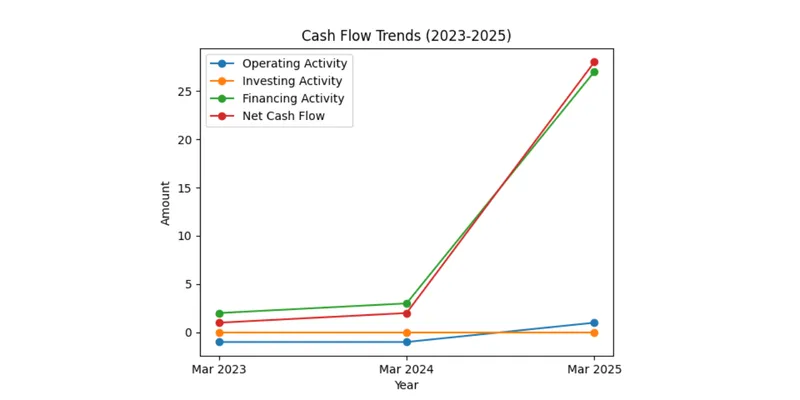 Cash flows 
